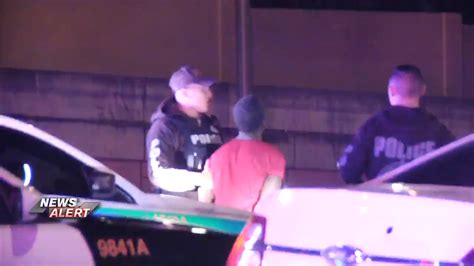 Police chase ends in arrest after suspect crashes on Don Shula Expressway